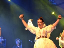 Festival de Folkore en Mula